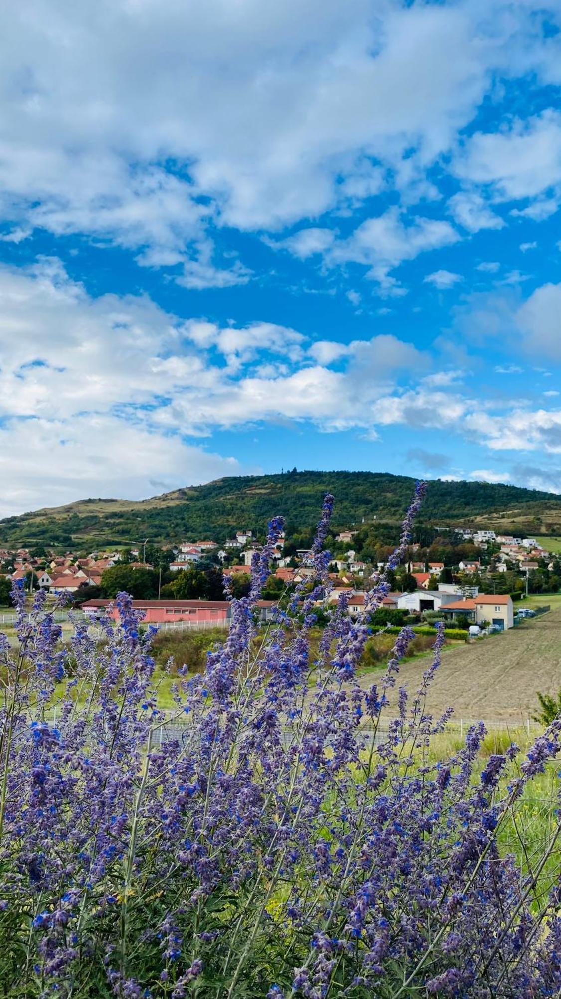 Best Western Plus Hotel Gergovie Perignat-les-Sarlieve Zewnętrze zdjęcie